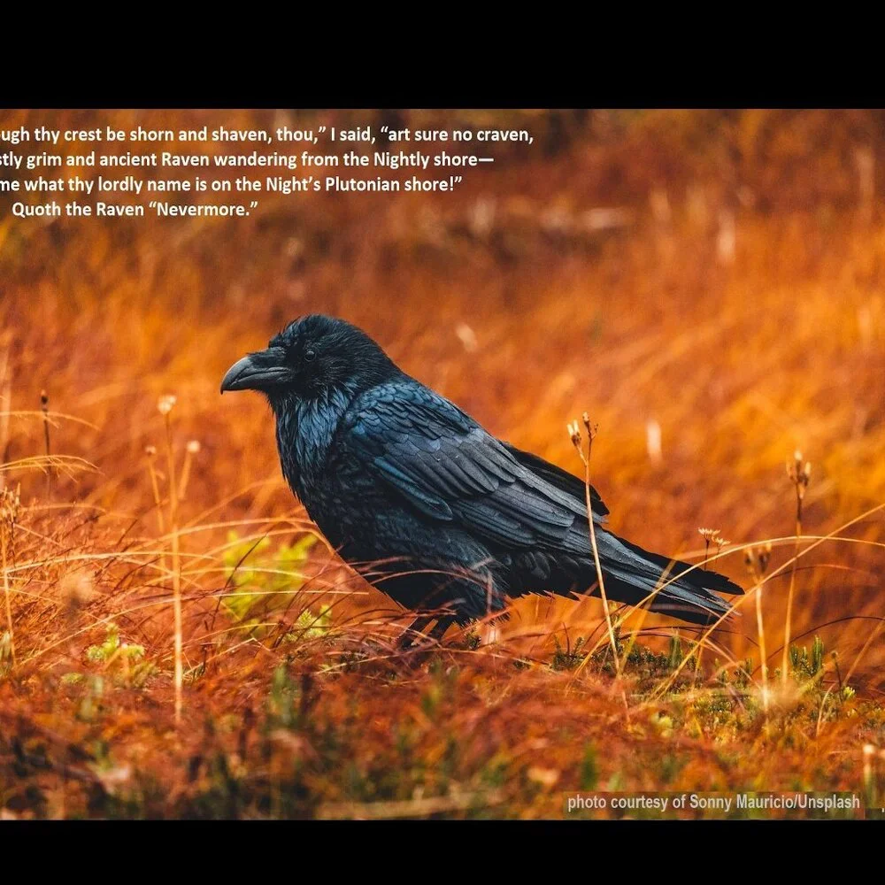 Raven Calendar 2027 Ravens Planner with The Raven by Edgar Allan Poe Poetry